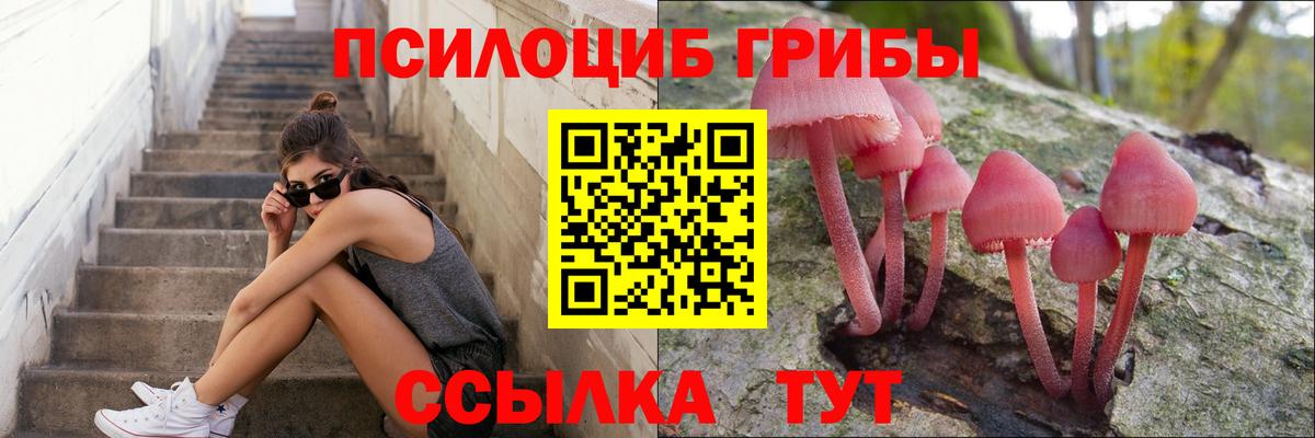 Псилоцибиновые грибы мицелий  купить   Вход с VPN  Приморско-Ахтарск  Псилоцибиновые грибы мицелий 