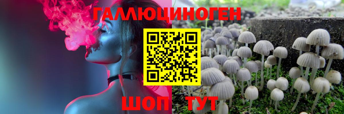 Галлюциногенные грибы прущие грибы Приморско-Ахтарск