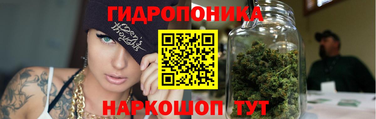 Бошки марихуана марихуана  Конопля Ganja  МАРИХУАНА OG Kush  Приморско-Ахтарск  Вход с VPN  Бошки марихуана гибрид 